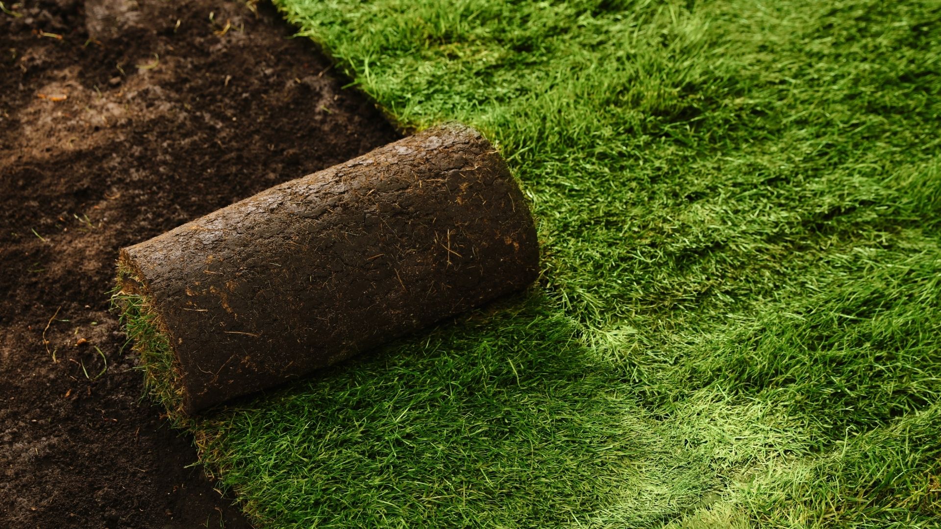 Land management project image 10