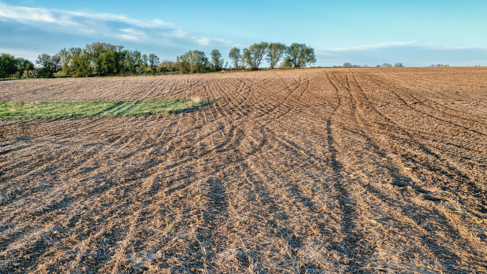 Land management project image 13