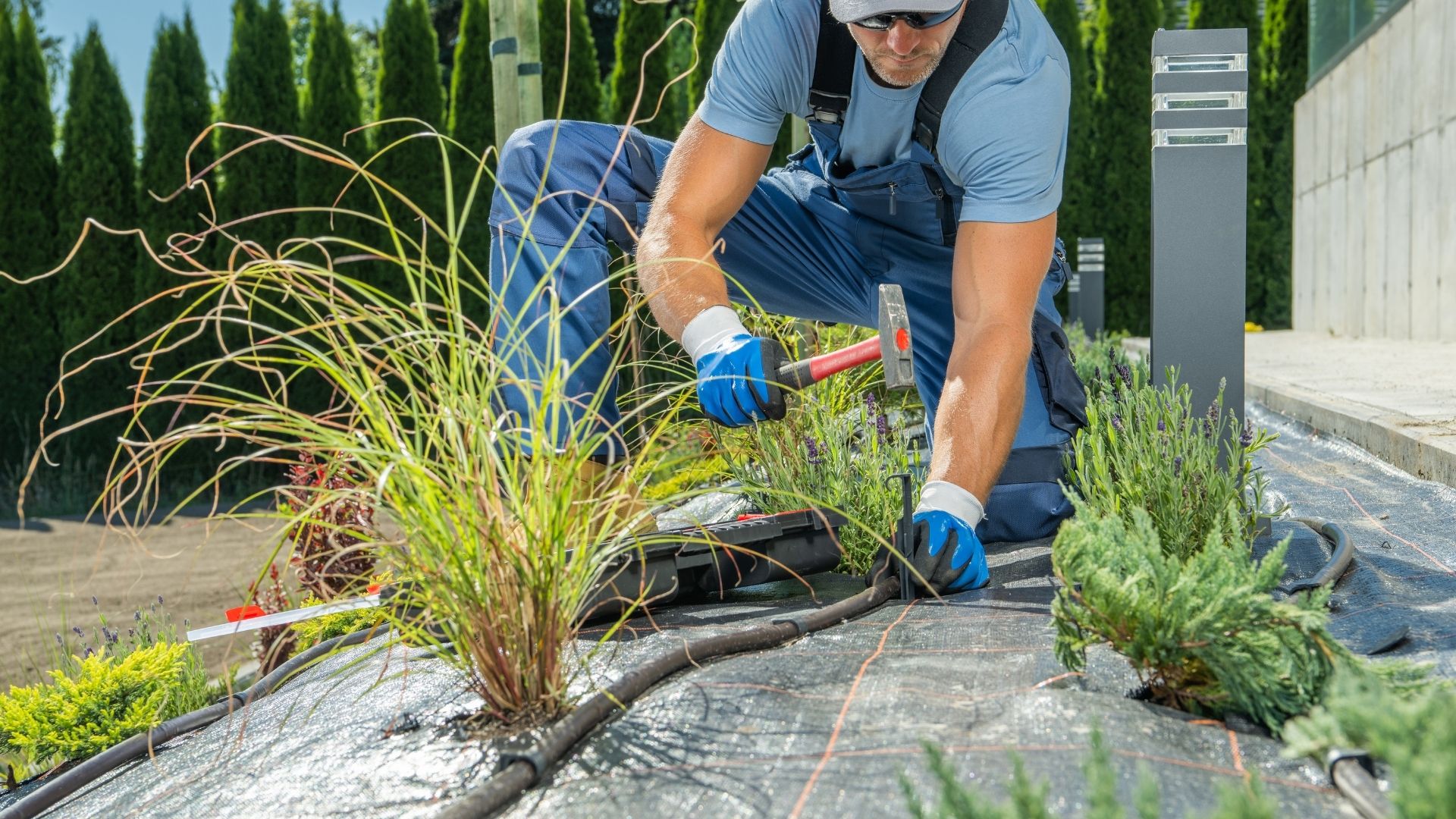 Land management project image 15