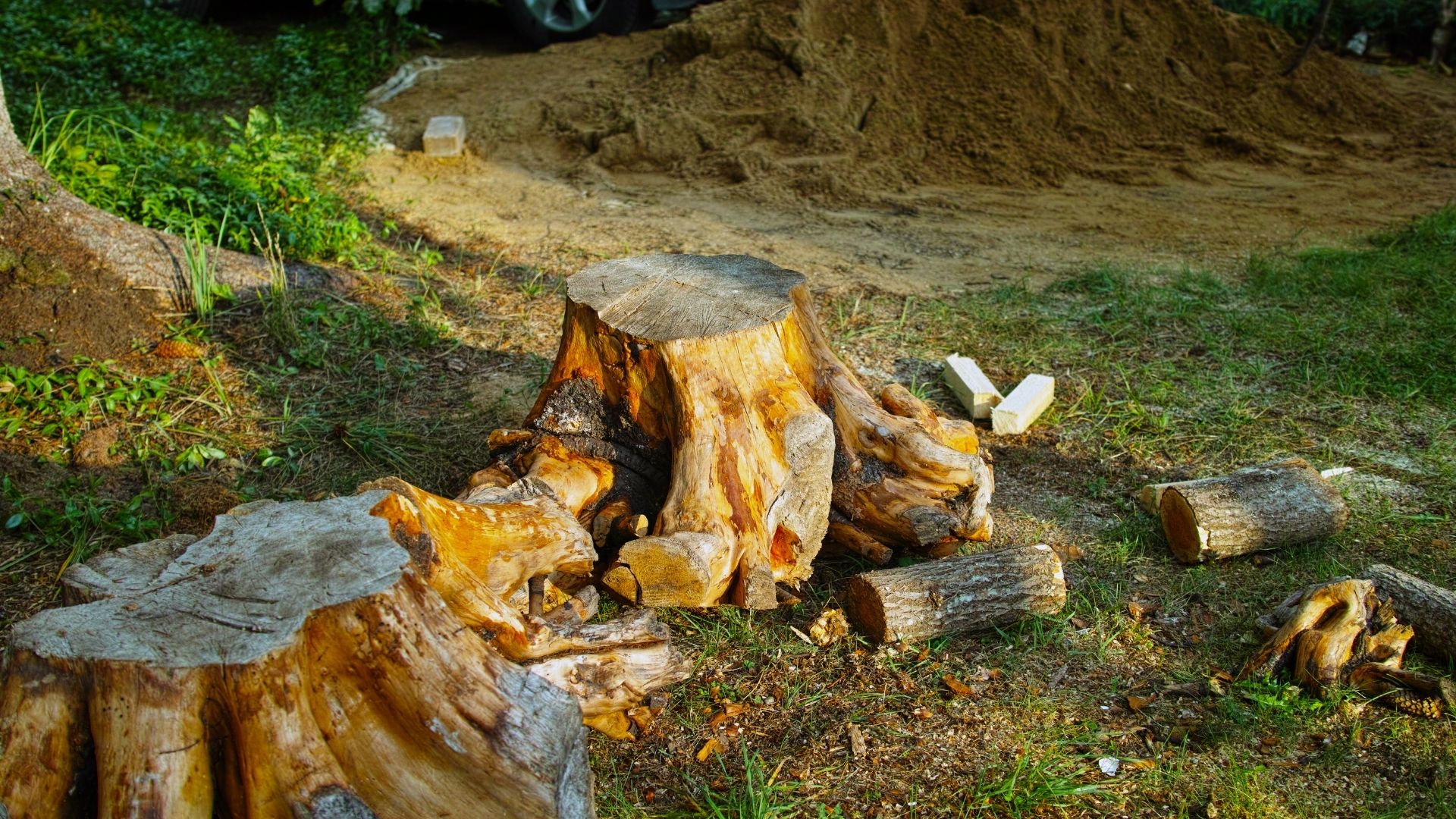 Land clearing and grading project in Statham GA