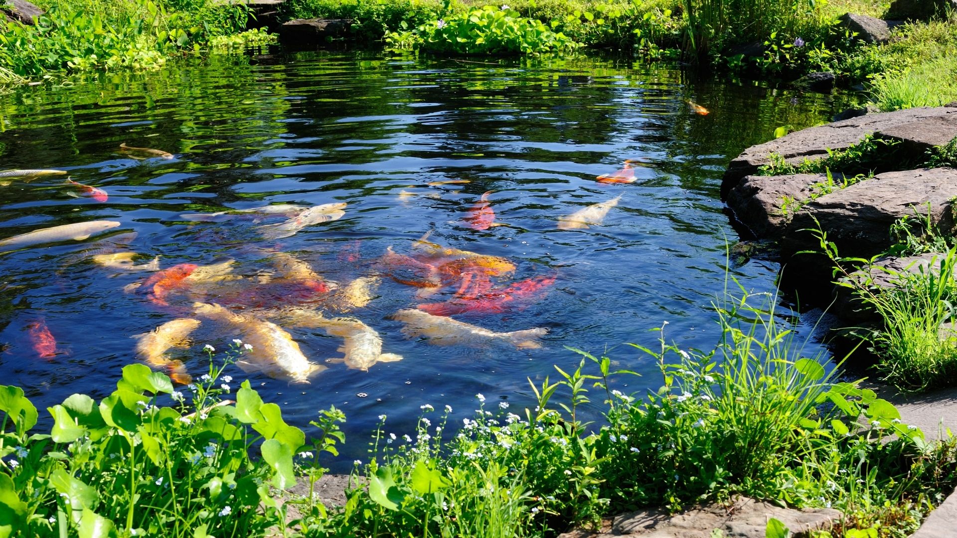 Land management project image 26