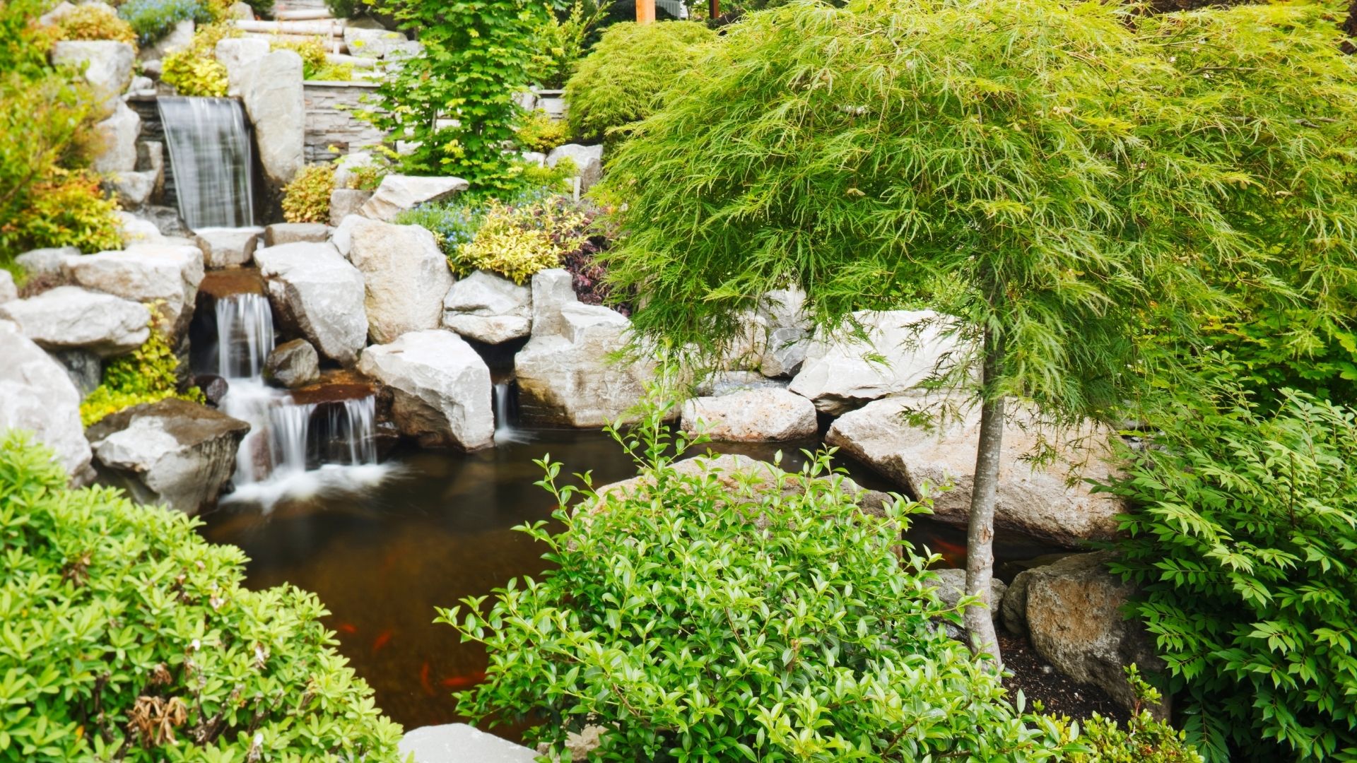 Land management project image 28