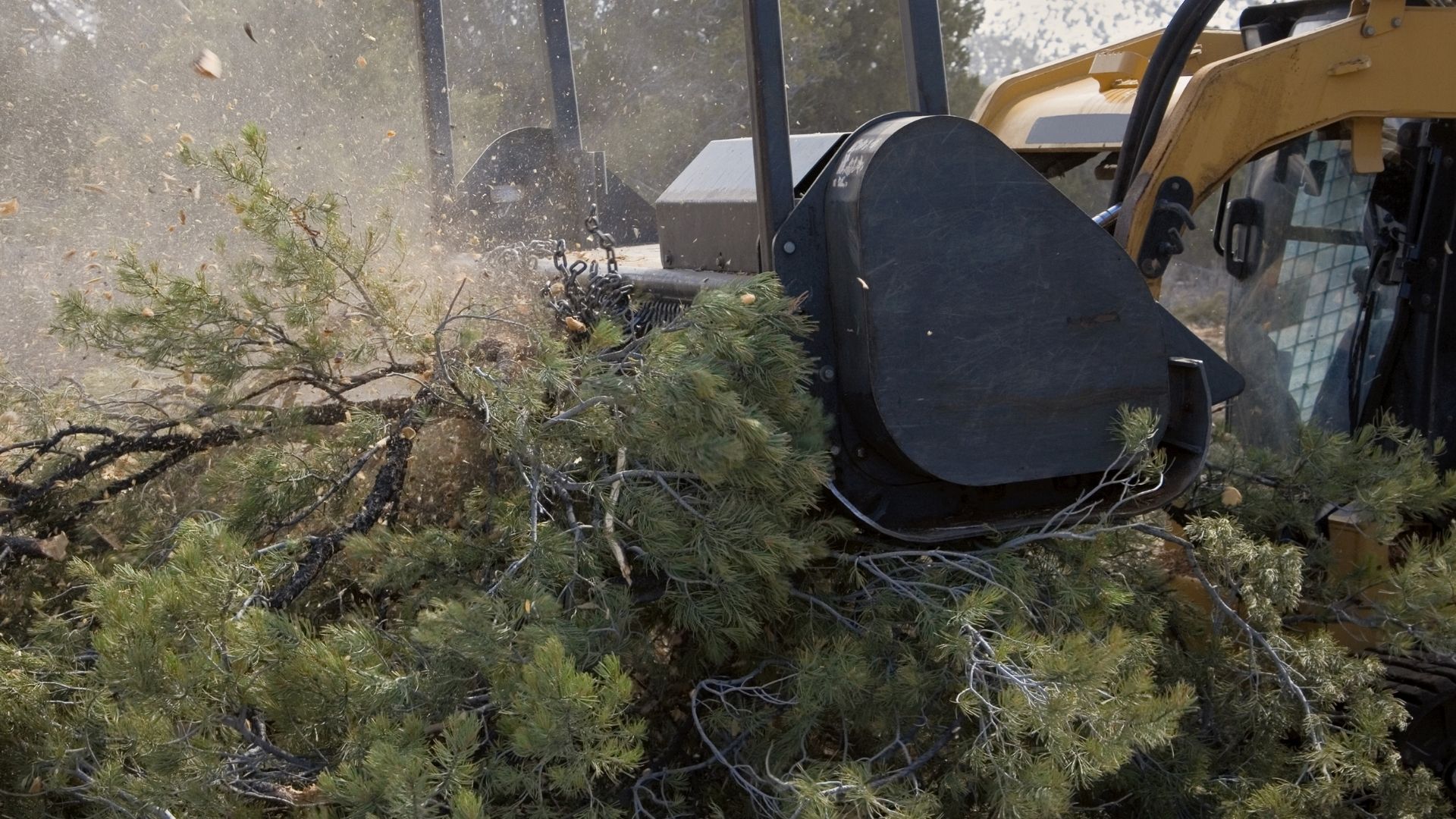 Land management project image 3