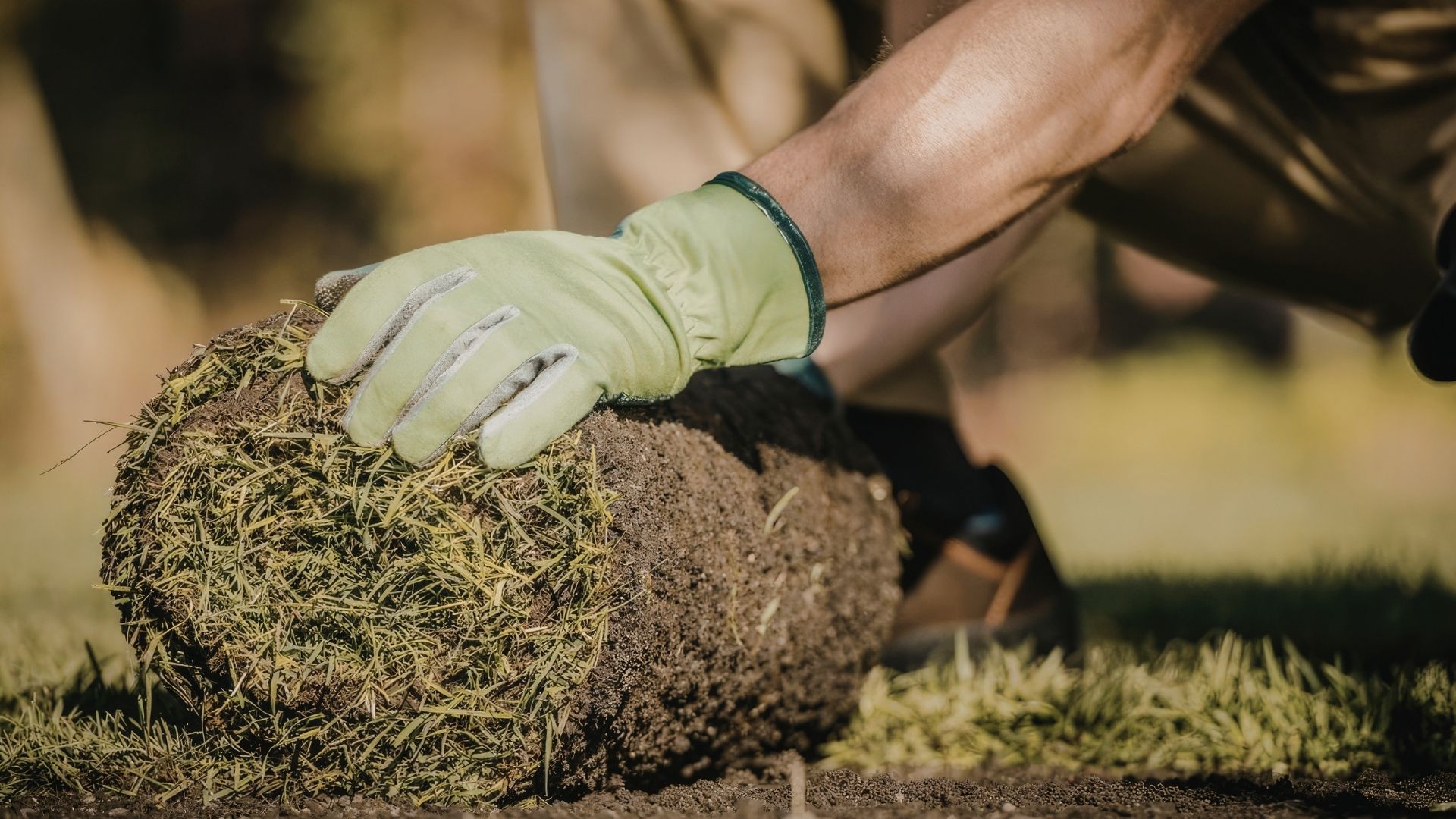 Land management project image 4