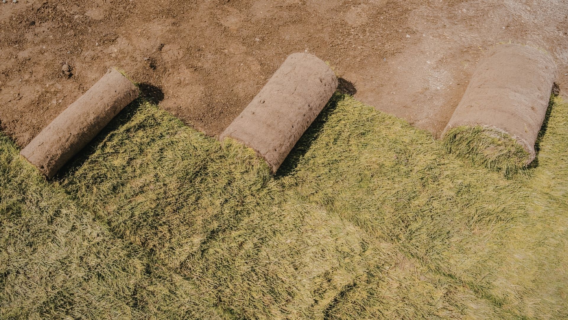 Land management project image 5