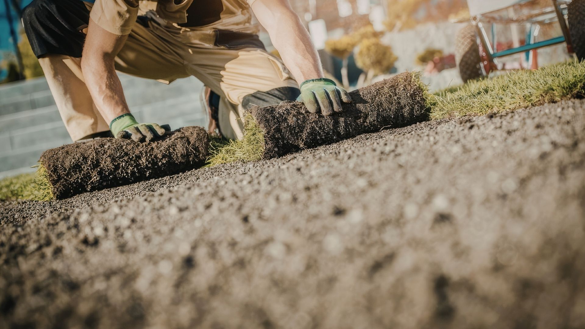 Land management project image 6