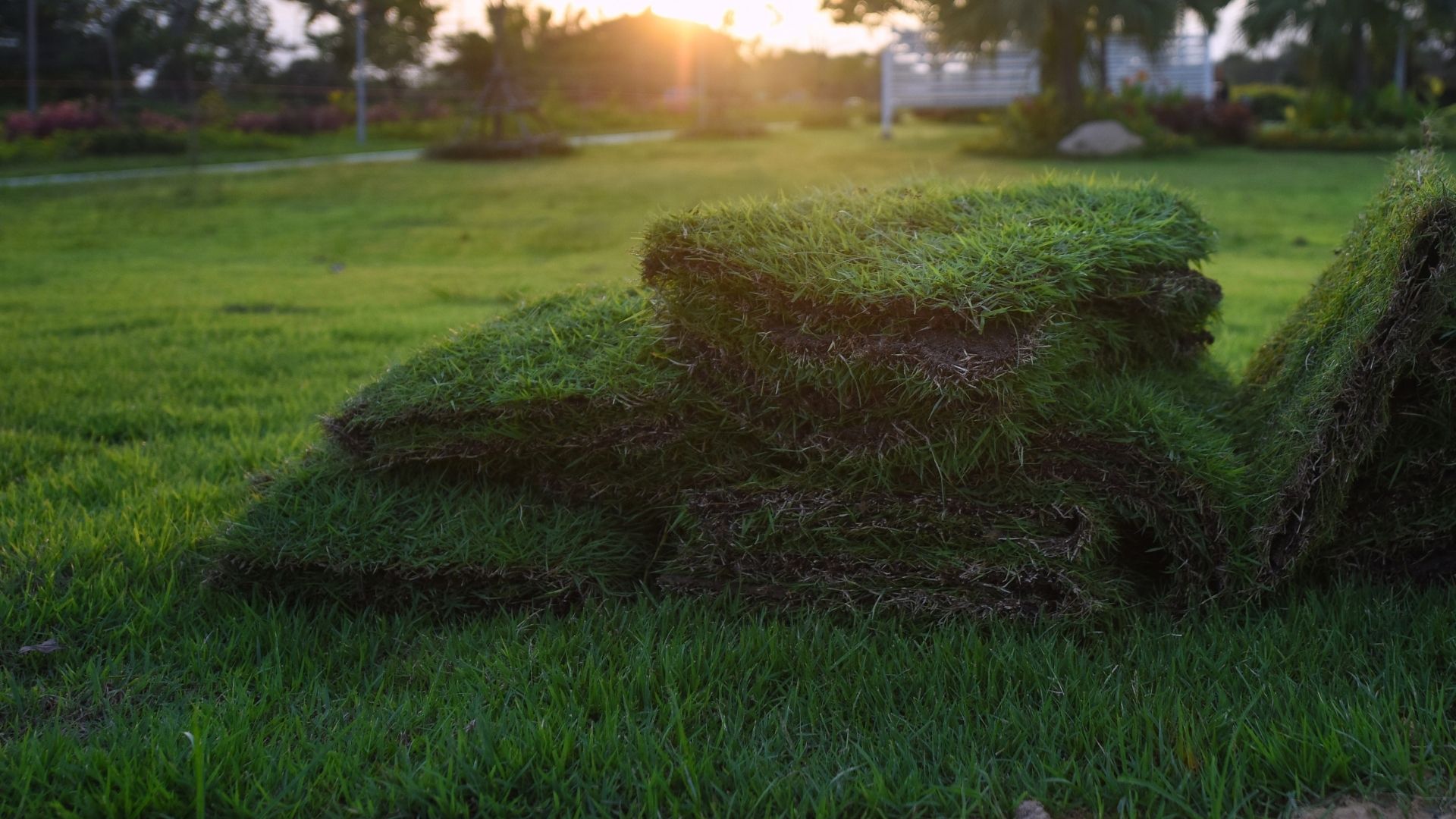 Land management project image 7