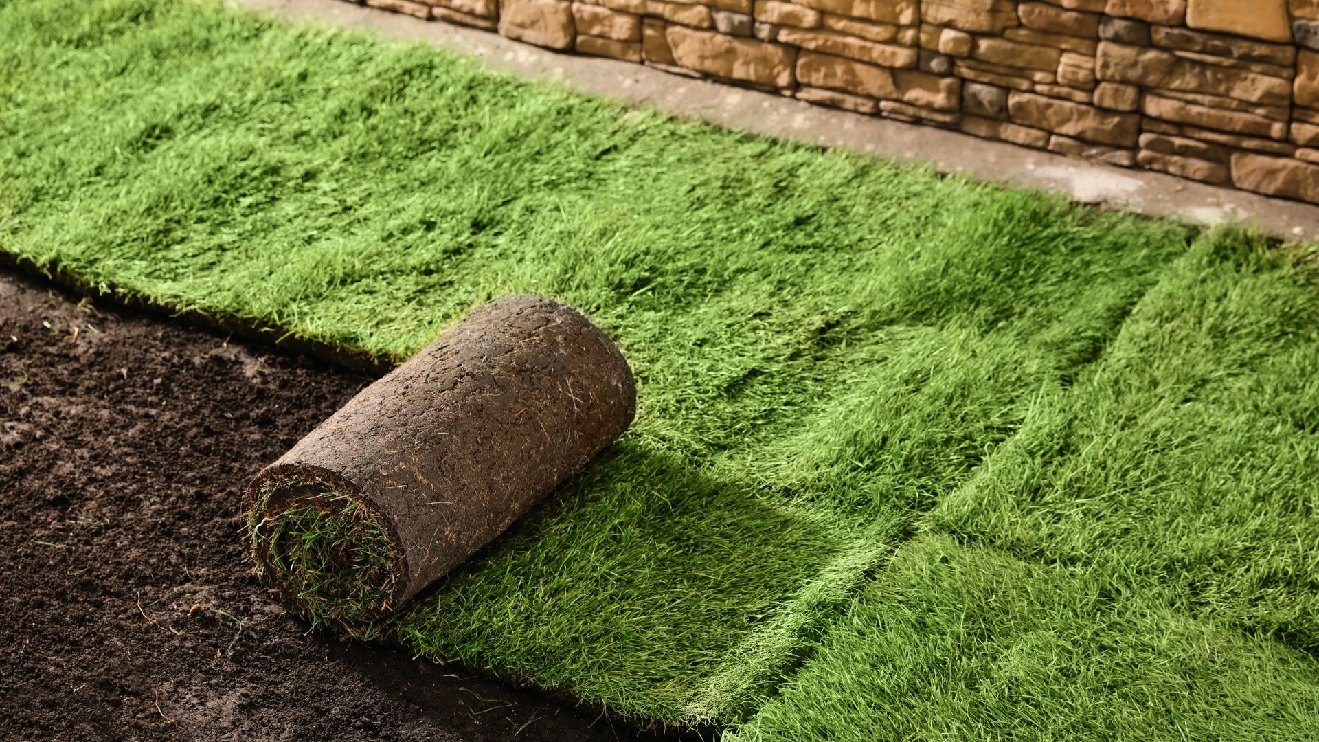 Land management project image 9